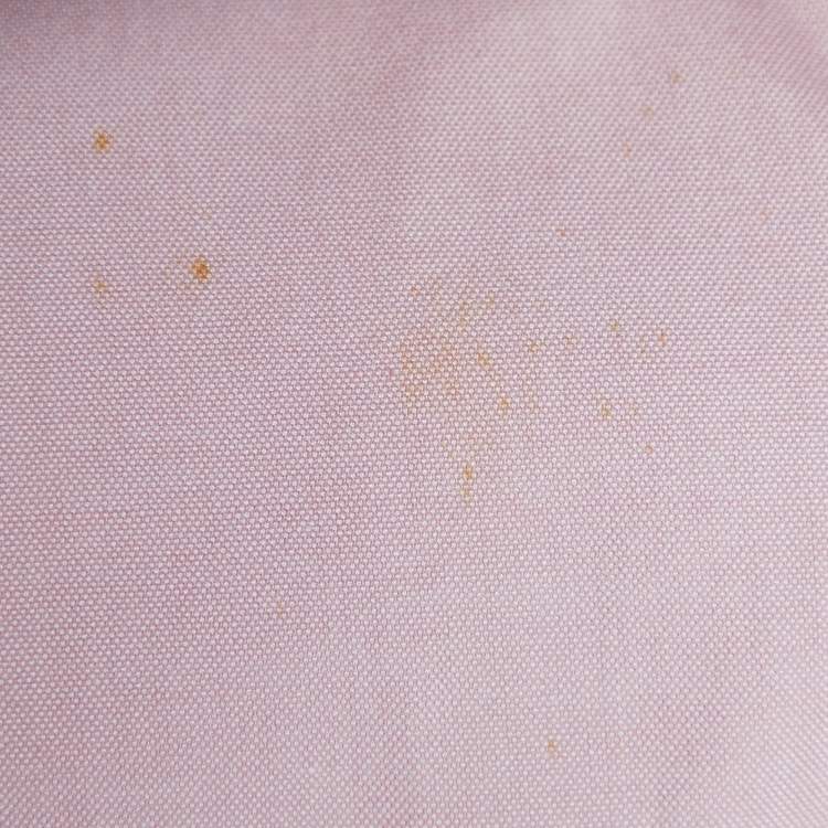 Pre Owned Polo by Ralph Lauren Pink Cotton Custom Fit Shirt L