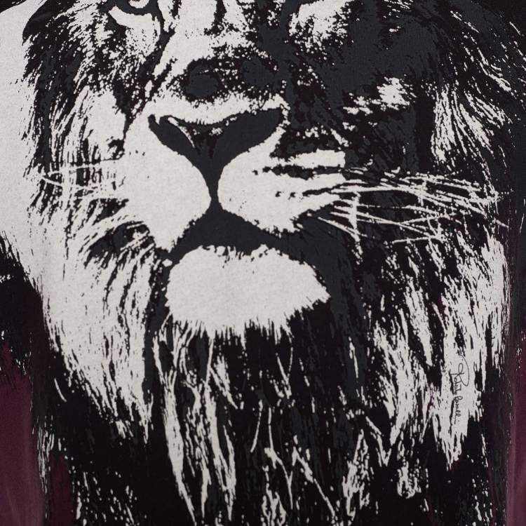 Pre Owned Roberto Cavalli Burgundy Printed Cotton T-shirt M