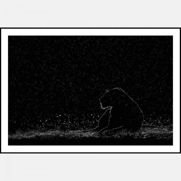 Pre Owned Fortitude By Composing The Wild, India, 2021 (75 X 104)
