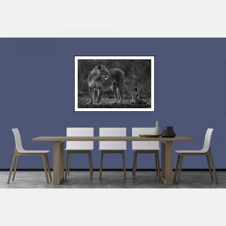 Pre Owned Some Rain Must Fall By Composing The Wild, India, 2021 (75 X 104)
