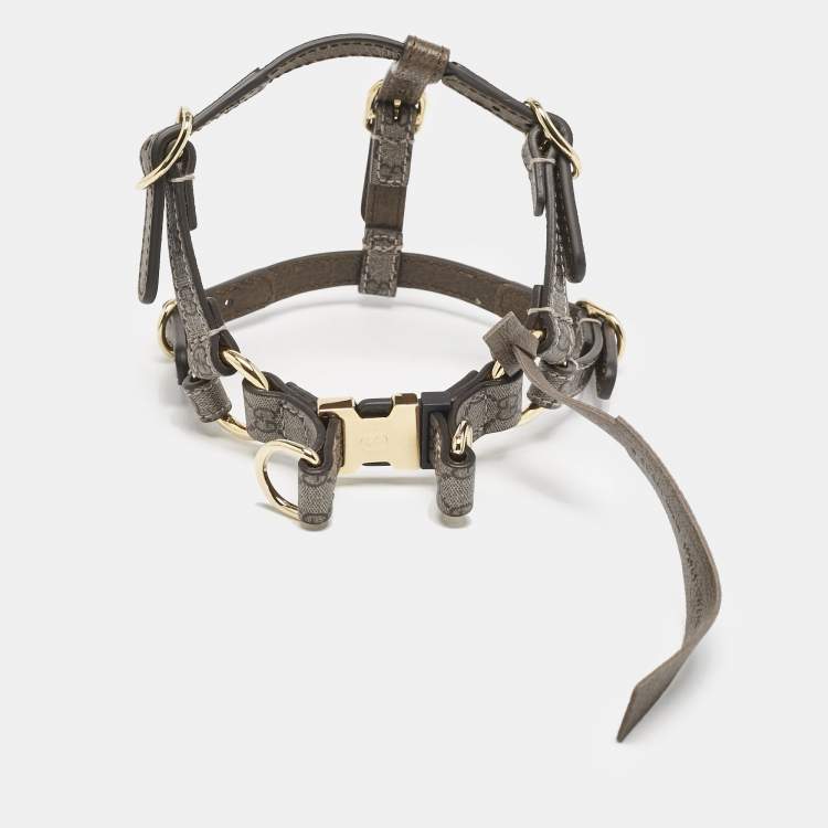 Pre Owned Gucci Brown GG Supreme Canvas and Leather Dog Harness