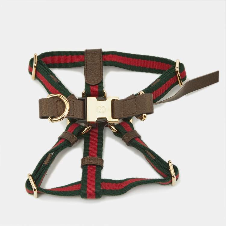 Pre Owned Gucci Brown Leather and Web Pet Harness M