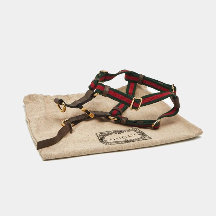 Pre Owned Gucci Brown Leather and Web Pet Harness M