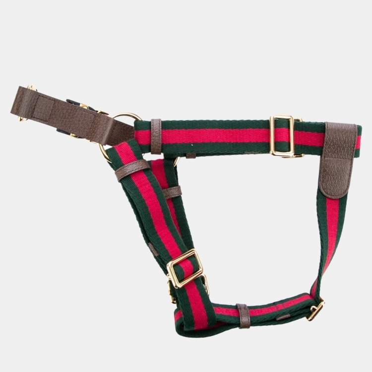 Pre Owned Gucci Brown Leather and Web Pet Harness M