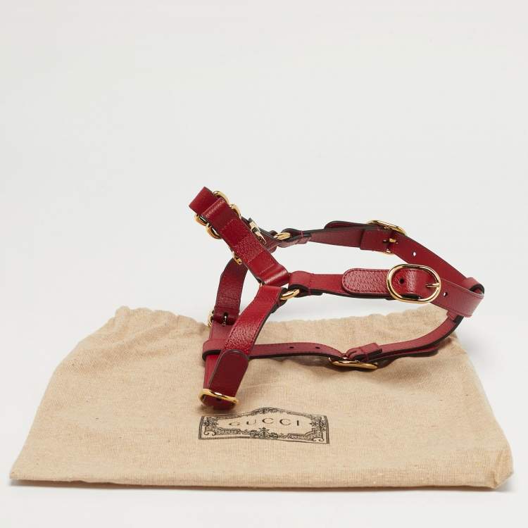 Pre Owned حزام حيوان أليف من الجلد وشبكة بني من غوتشي متوسط