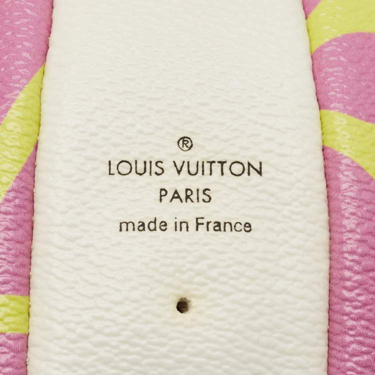 Pre Owned كرة طائرة لوي فيتون كانفاس مونوجرامي عملاقة متعددة الألوان