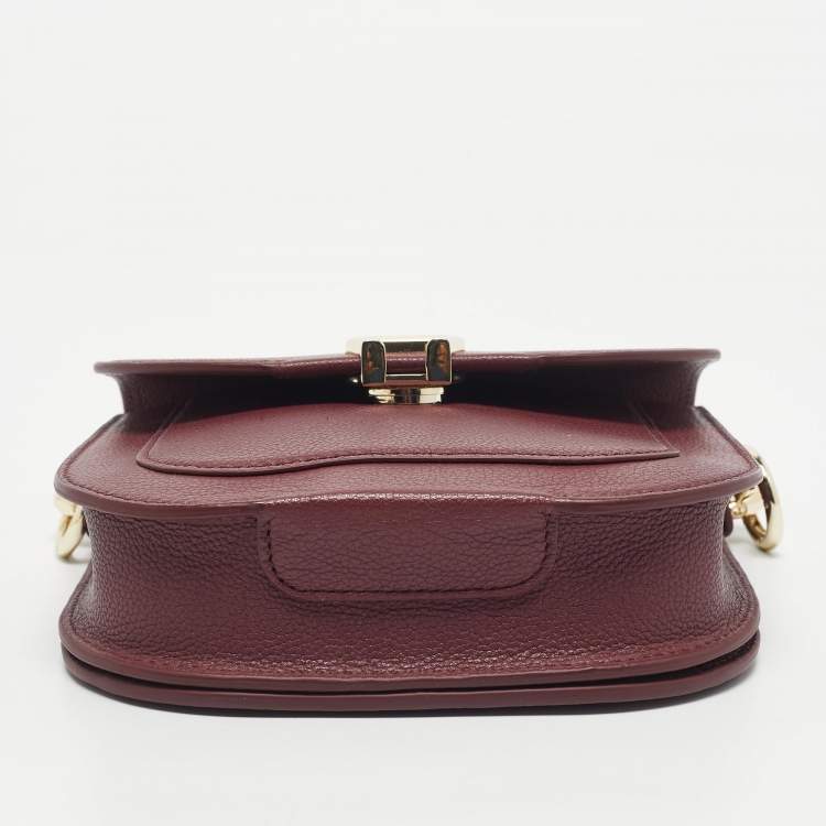 Pre Owned Aigner Burgundy Leather XS Ariana Crossbody Bag