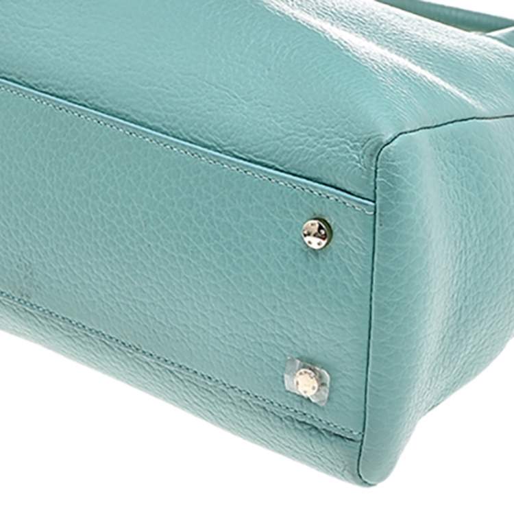 Pre Owned Aigner Mint Blue Leather Shoulder Bag