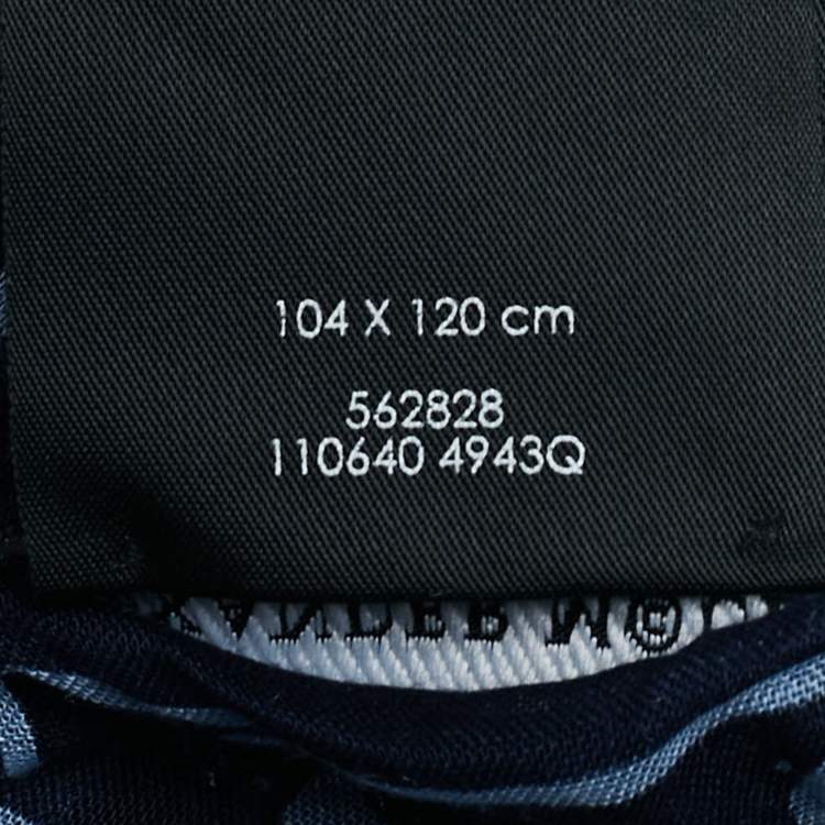 Pre Owned Alexander McQueen Blue Skull Print Modal Blend Scarf 