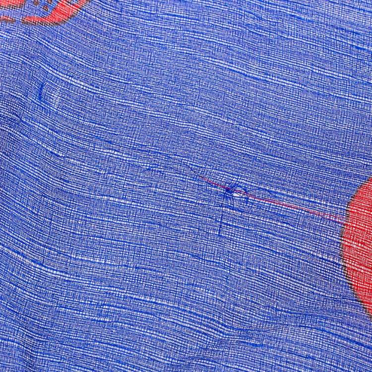 مملوكة مسبقًا Alexander McQueen Blue Skull Print Silk Scarf