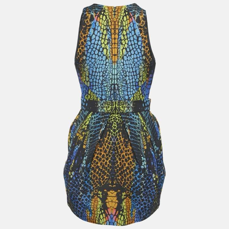 Pre Owned Alexander McQueen Multicolor Printed Cotton Blend Mini Dress S