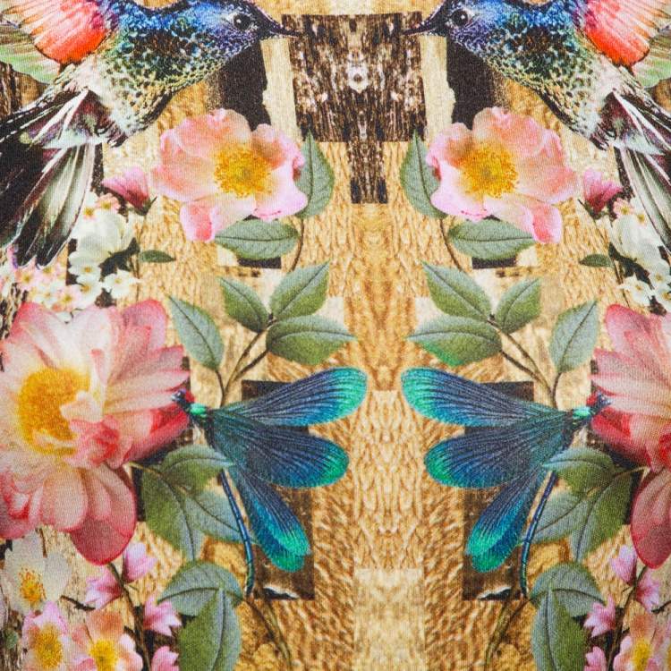 Pre Owned Alexander McQueen Multicolor Dragonfly Printed Knit Sleeveless Sheath Dress S