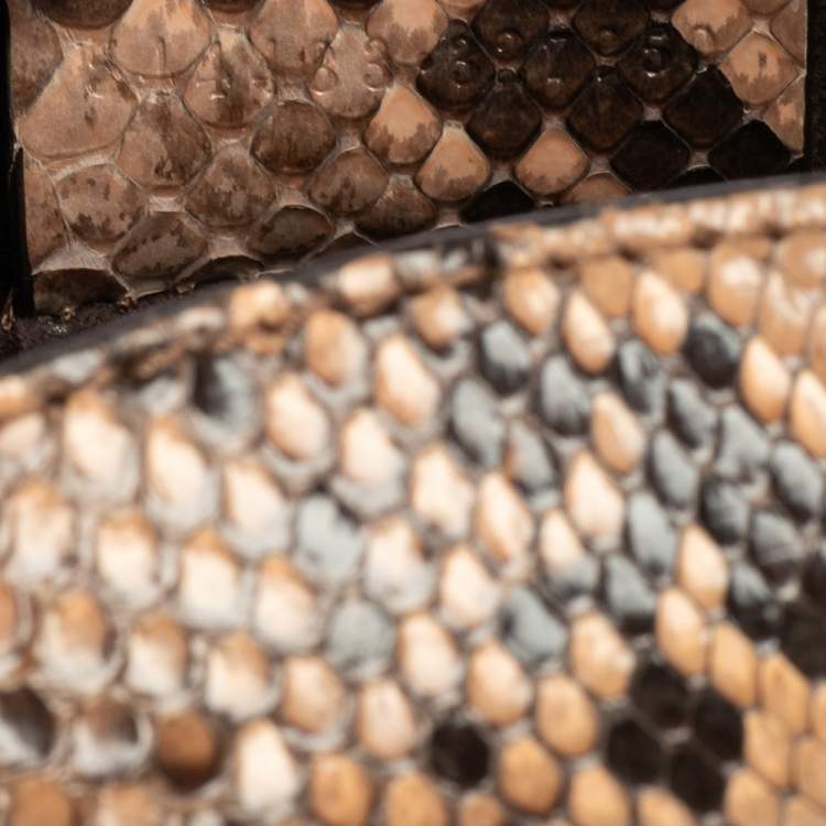 Pre Owned Alexander McQueen Multicolor Python Mini Heroine Bag