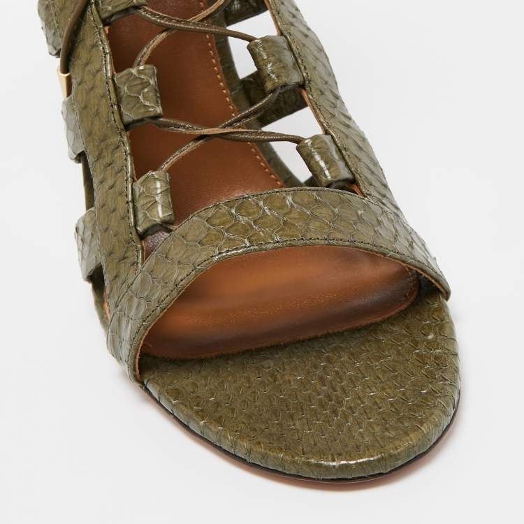 Pre Owned Aquazzura Green Python Amazon Lace Up Open Toe Sandals Size 41