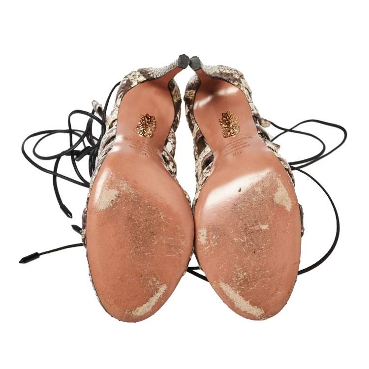 Pre Owned Aquazzura Brown/Beige Python Amazon Lace Up Open Toe Sandals Size 36