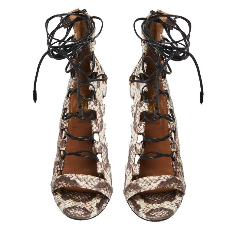 Pre Owned Aquazzura Brown/Beige Python Amazon Lace Up Open Toe Sandals Size 36