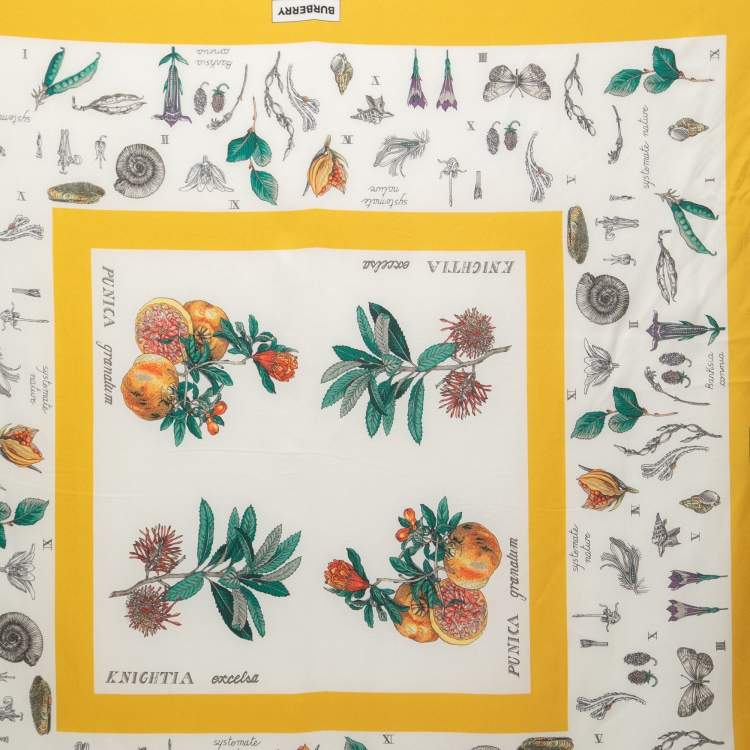 Pre Owned Burberry Yellow Botanical Study Print Silk Scarf