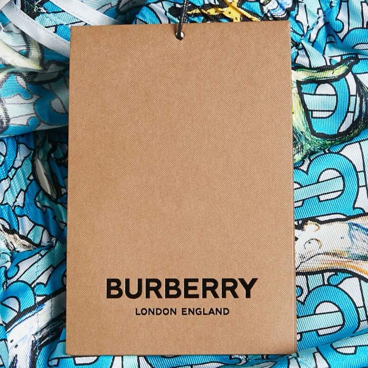 Pre Owned Burberry Blue Tawney Print Silk Shorts XXS