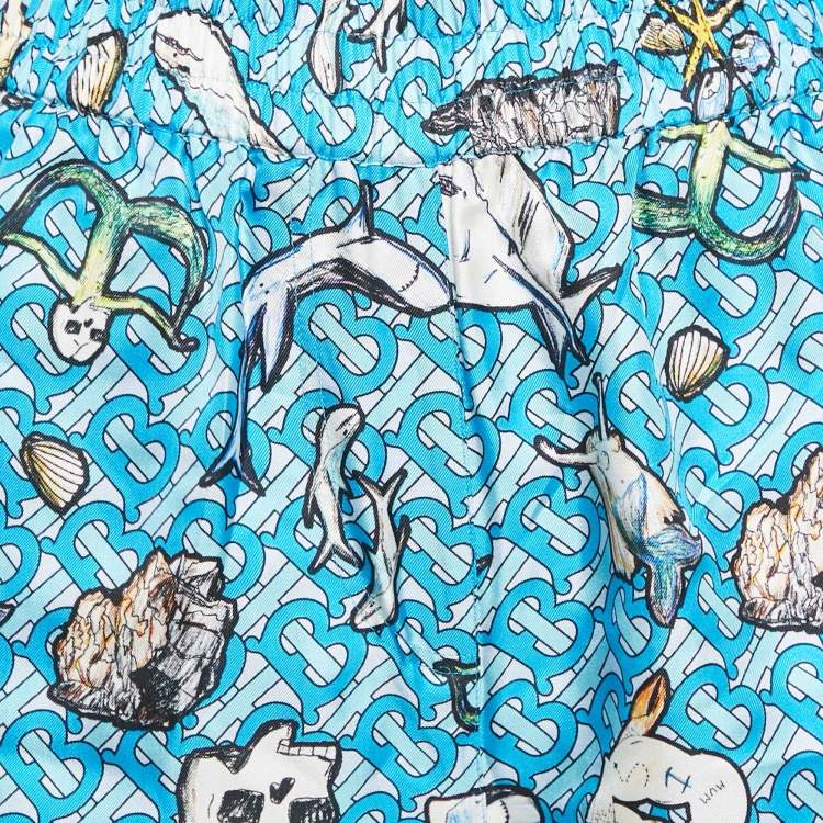 Pre Owned Burberry Blue Tawney Print Silk Shorts XXS