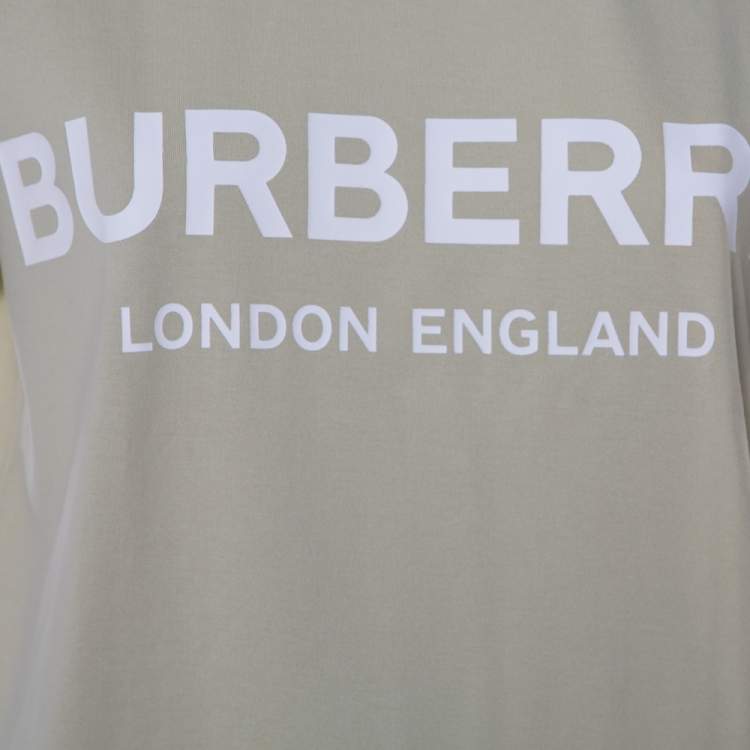 Pre Owned Burberry Pale Green Cotton Shotover Logo Print T Shirt M