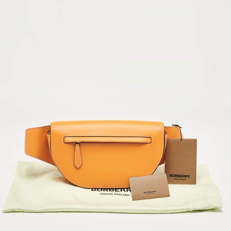 Pre Owned Burberry Orange Leather Small Olympia Bumbag