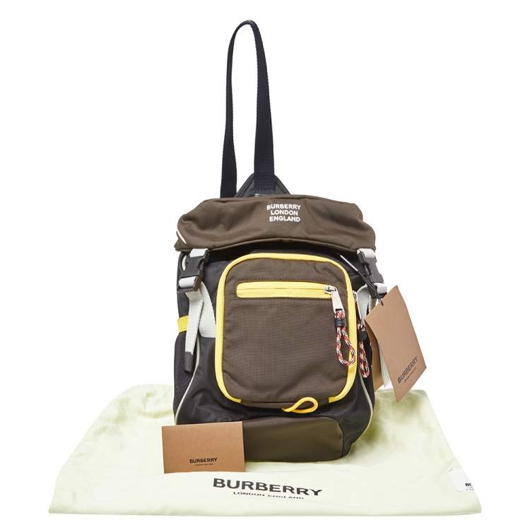 Pre Owned Burberry Multicolor Nylon Leo Belt Pack Bag