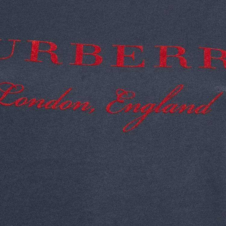 Pre Owned Burberry Blue/Red Cotton Crew Neck T-Shirt XS 