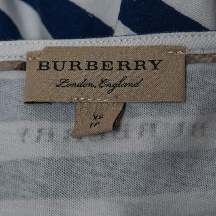 Pre Owned Burberry Blue Graphic Stripe Print Cotton Boat Neck T-Shirt XS