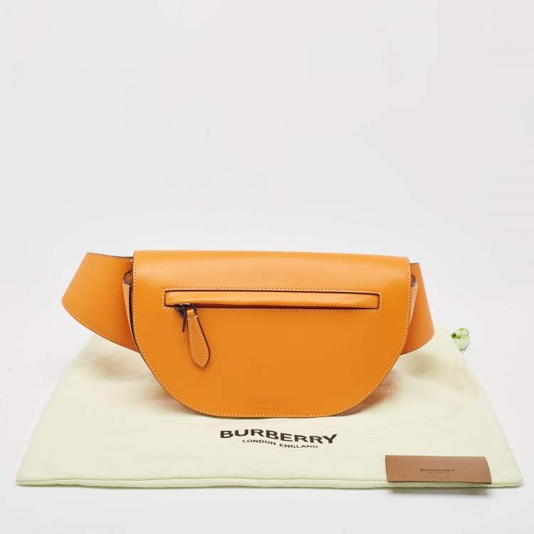 Pre Owned Burberry Orange Leather Small Olympia Bumbag