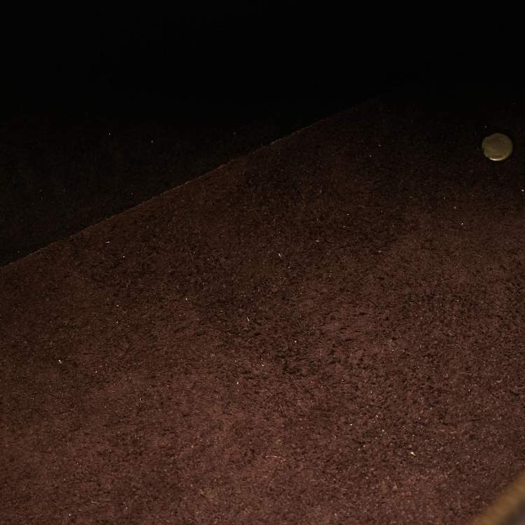 Pre Owned Carolina Herrera Dark Brown Monogram Embossed Leather Large Andy Satchel