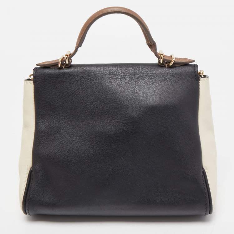 Pre Owned Carolina Herrera Multicolor Leather Mini Minuetto Top Handle Bag