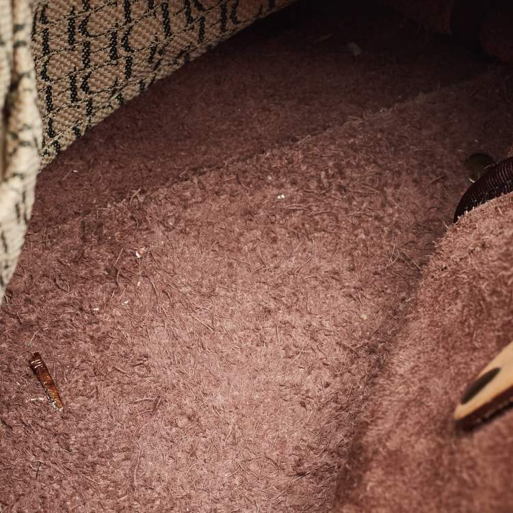 Pre Owned Carolina Herrera Brown Leather Monogram Embossed Andy Boston Bag