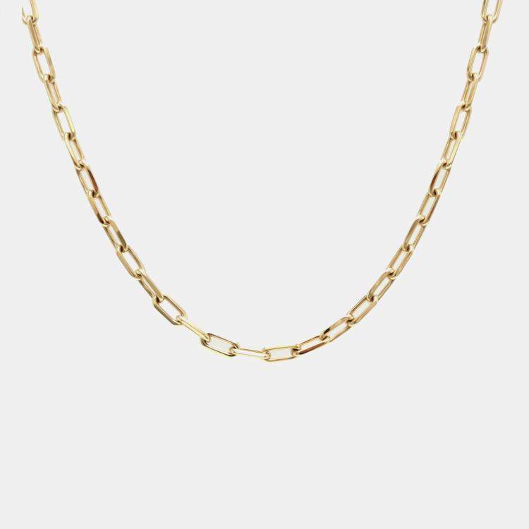 Santos de cartier discount chain