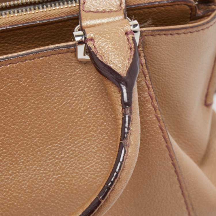 Pre Owned Cartier Metallic Beige Leather Mini C De Cartier Satchel