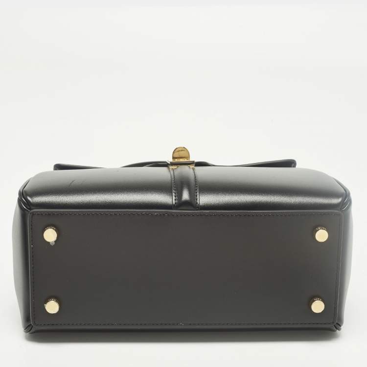 Pre Owned حقيبة يد علوية جلد أسود صغير سيلين كلاسيك 16