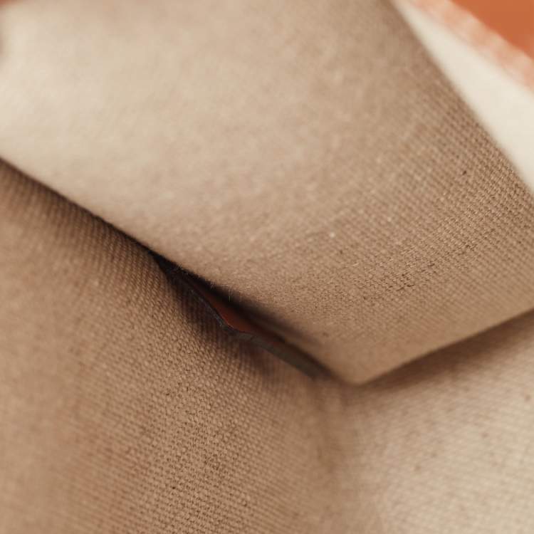 Pre Owned Celine Natural/Brown Sulky Print Canvas and Leather Mini Vertical Cabas Tote 