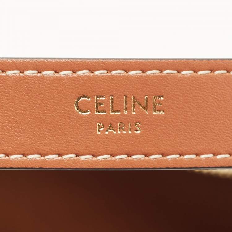 Pre Owned Celine Brown Triomphe Canvas and Leather Ava Shoulder Bag 