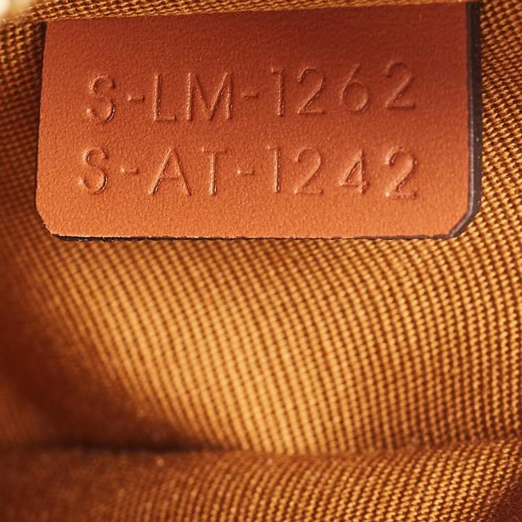 Pre Owned Celine Dark Brown Triomphe Coated Canvas and Leather Ava Hobo