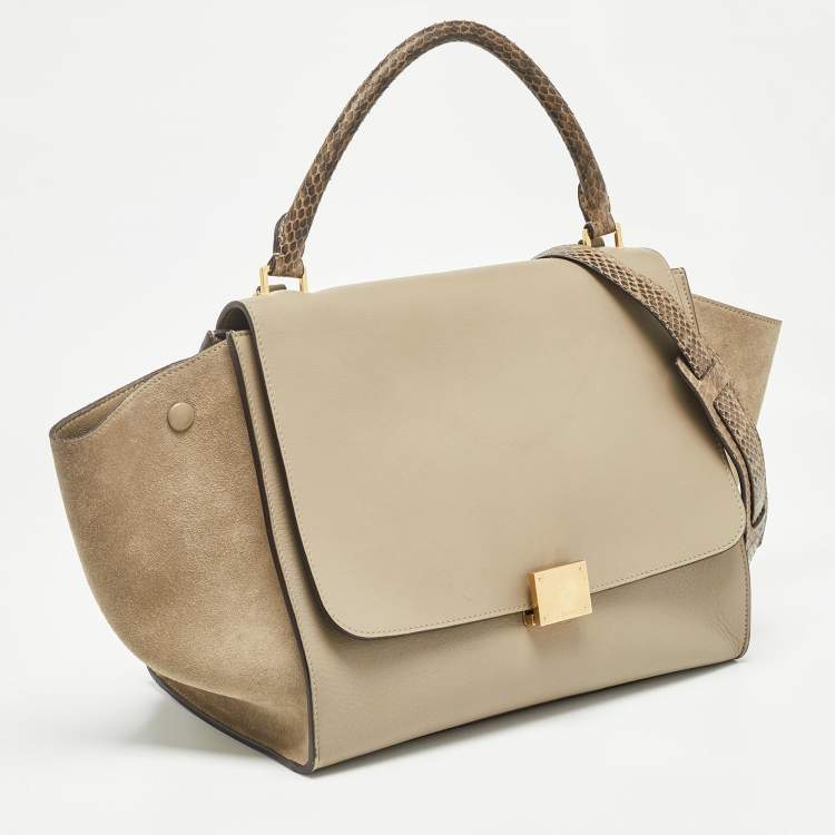 Pre Owned Celine Beige Leather, Suede and Python Medium Trapeze Bag