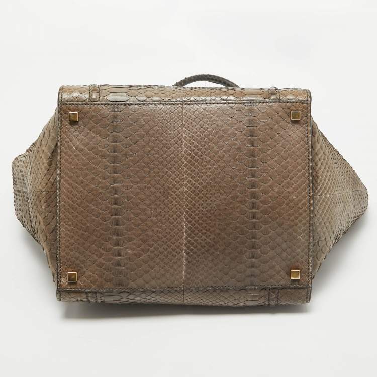 Pre Owned Celine Beige Python Medium Luggage Phantom Tote