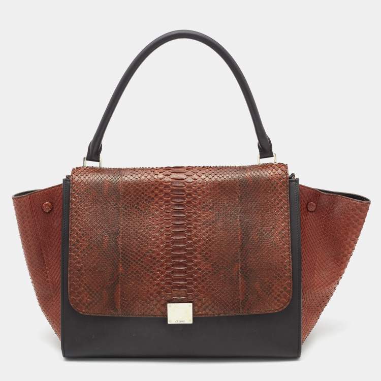 Pre Owned Celine Brown/Black Python and Leather Large Trapeze Top Handle Bag