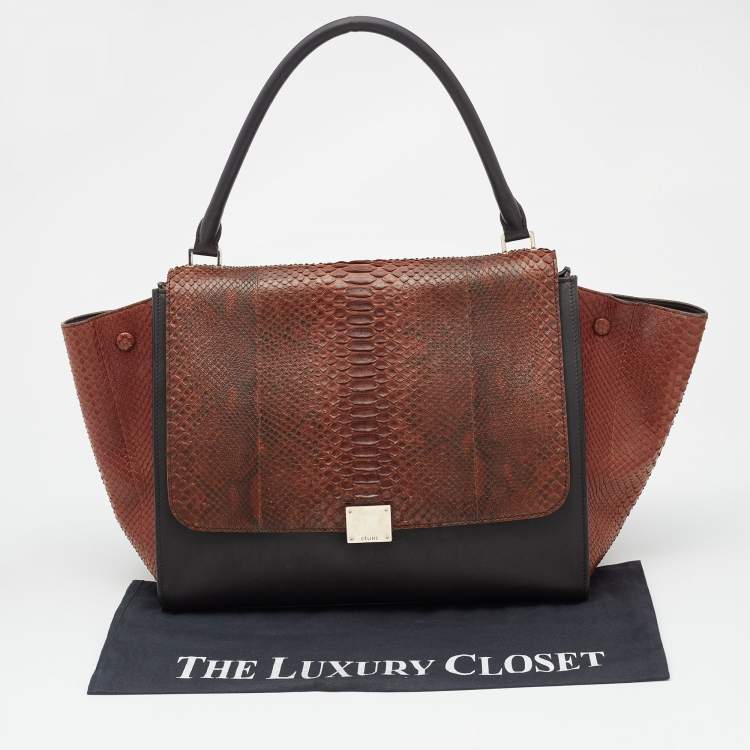 Pre Owned Celine Brown/Black Python and Leather Large Trapeze Top Handle Bag