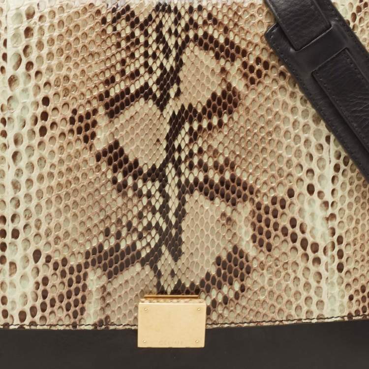 Pre Owned Celine Multicolor Python and Leather Medium Trapeze Top Handle Bag