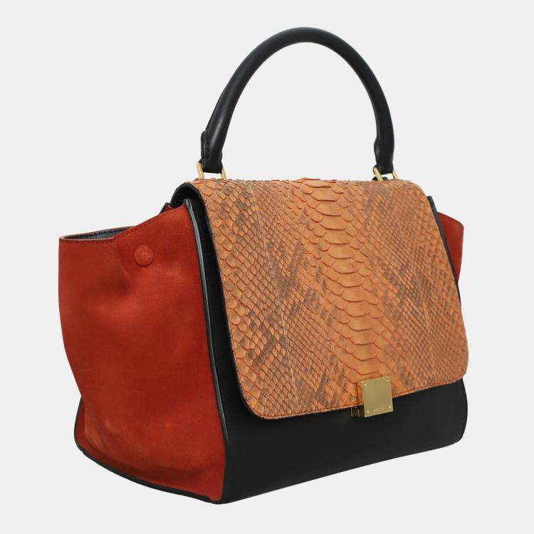 Pre Owned Celine Multicolor Python Trapeze Tote Bag