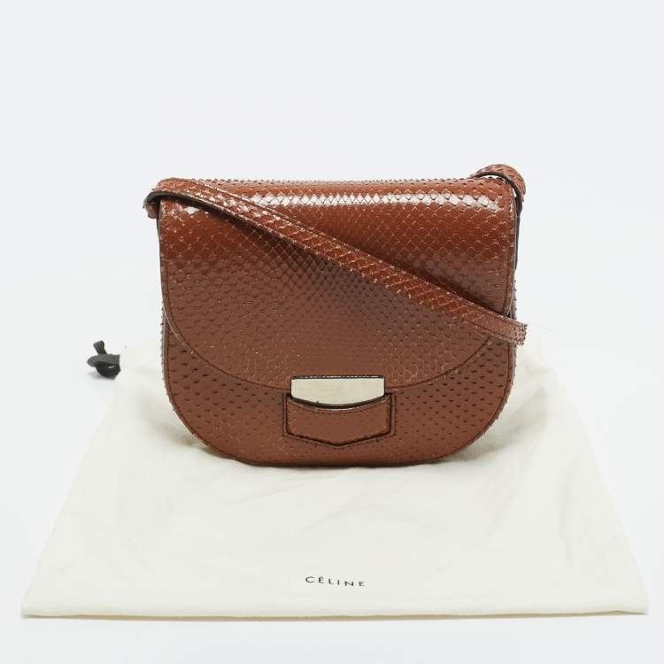 Pre Owned Celine Brown Python Small Trotteur Crossbody Bag