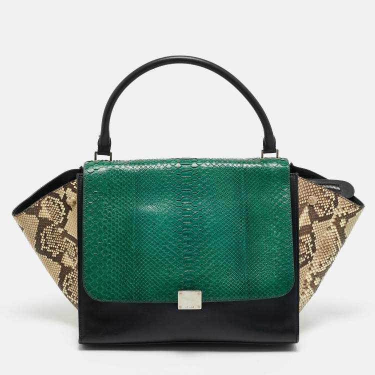 Pre Owned Celine Tricolor Python and Leather Large Trapeze Top Handle Bag