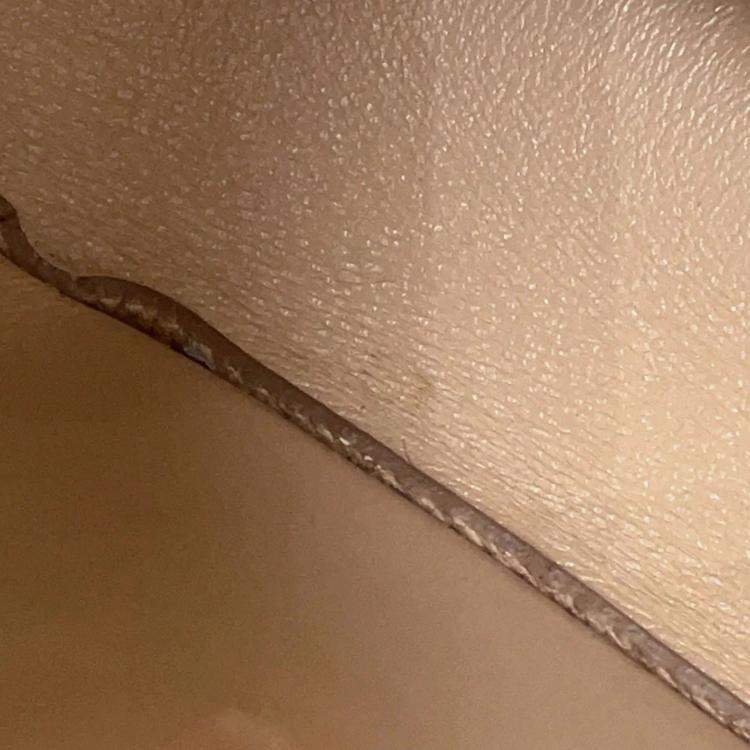Pre Owned Celine Trotter Small Jasmin Flower Leather Shoulder Bag