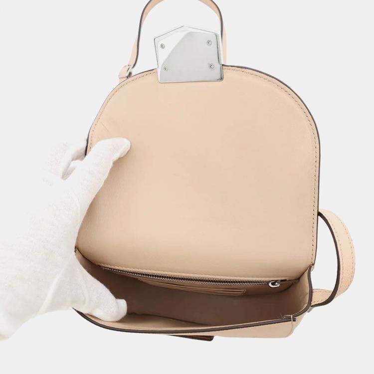 Pre Owned Celine Trotter Small Jasmin Flower Leather Shoulder Bag
