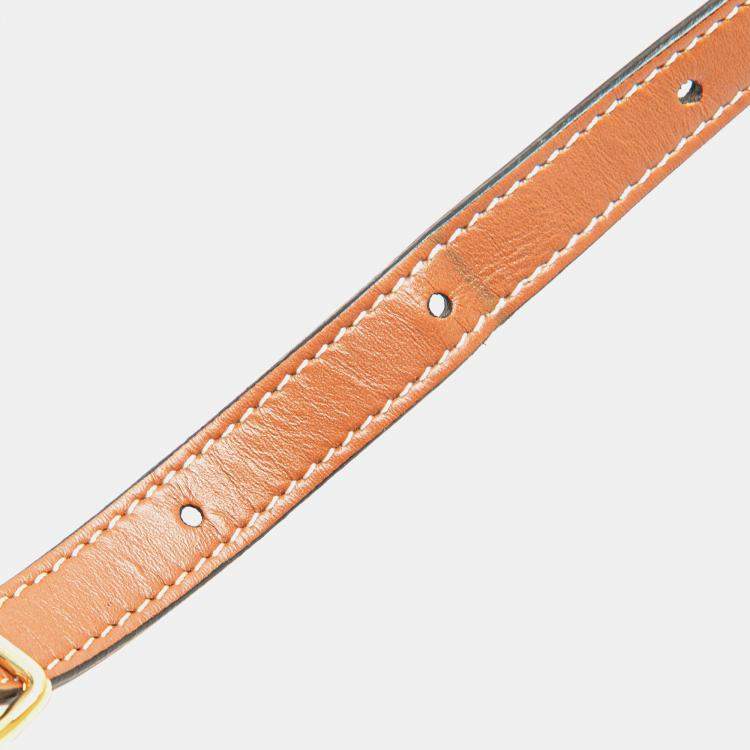 Pre Owned Celine Brown Medium Triomphe Coated Canvas Tambour Crossbody