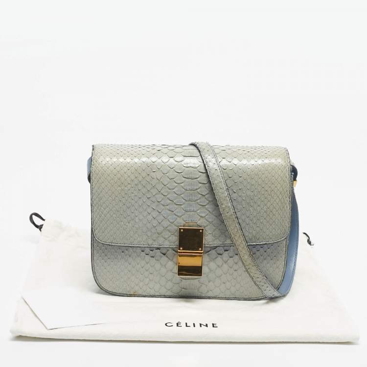 Pre Owned Celine Light Blue Python Medium Classic Box Shoulder Bag